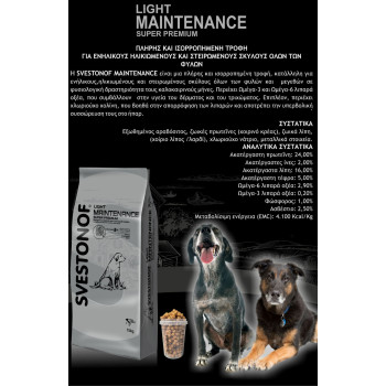 MAINTENANCE