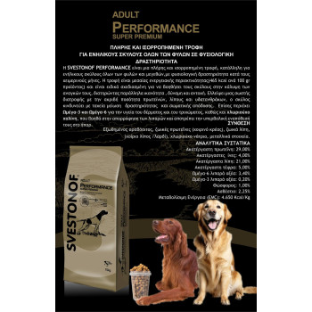 PERFORMANCE