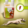 Svestonof Feed Booster - Feed Booster 250 ml - Svestonof.gr -